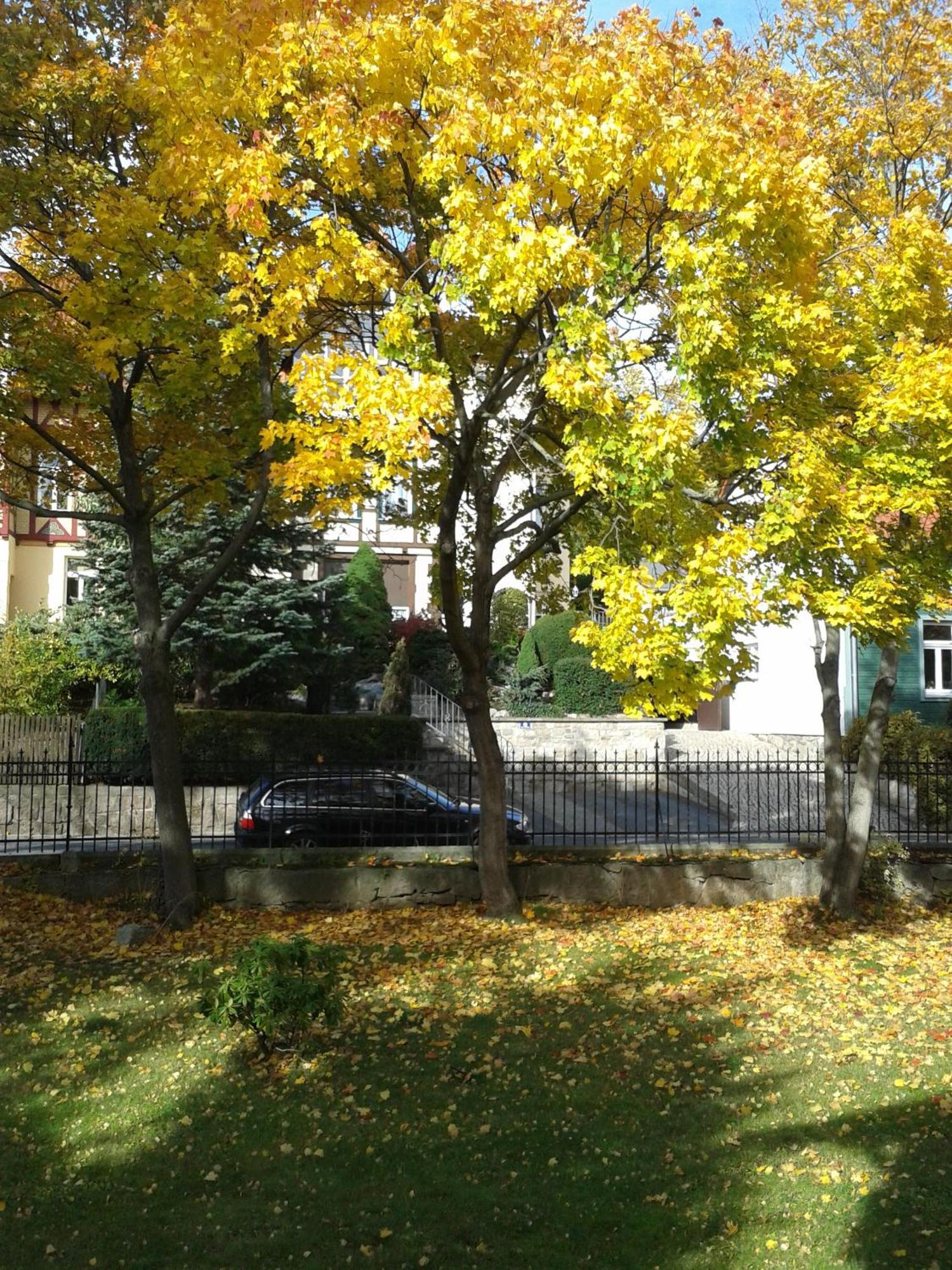 Haus Marga