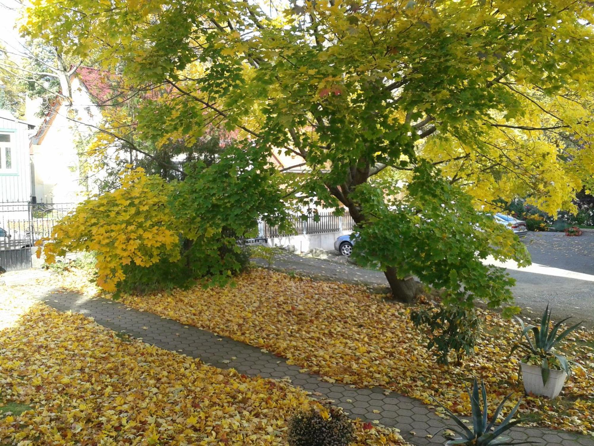 Gasthof Haus Marga 3*